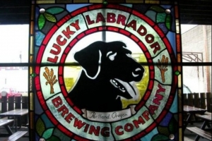 Lucky Labrador
